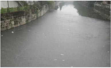 河道水案例