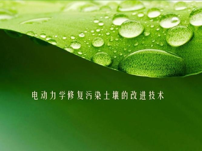 电动力学修复污染土壤的改进技术